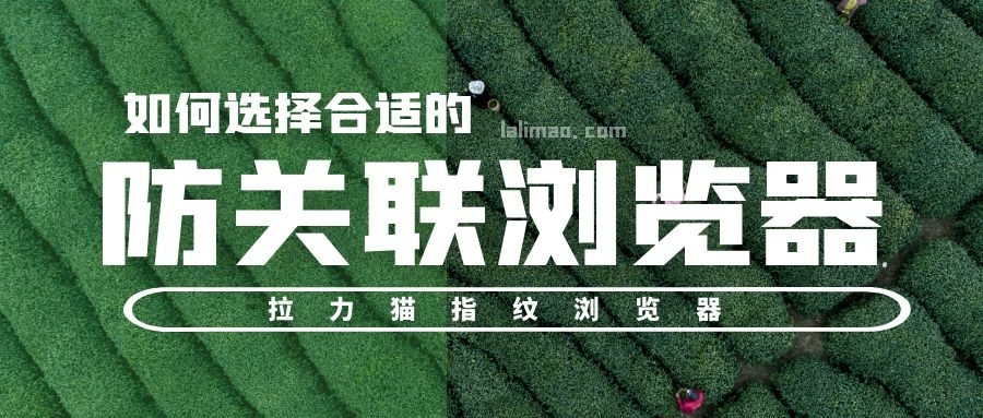 免费的防关联浏览器有吗,防关联浏览器有哪些功能设置方法