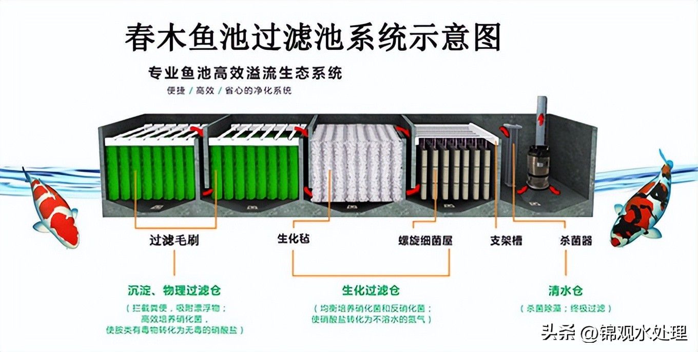 鱼池过滤毛刷安装方法,露天鱼池植物过滤方法