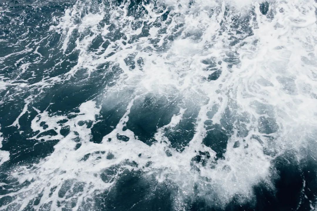 鍘绘嘲鍥芥浖璋峰拰鑺彁闆呯殑鏀荤暐,鍘绘嘲鍥界帺杞浖璋疯姯鎻愰泤