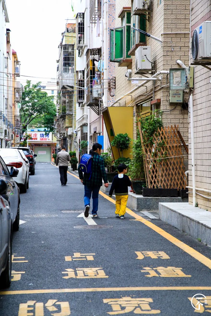 深圳航空空少乘务员,空姐空少乘务员