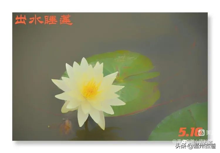 告别春天迎接夏天的诗,告别春天迎接夏天到来