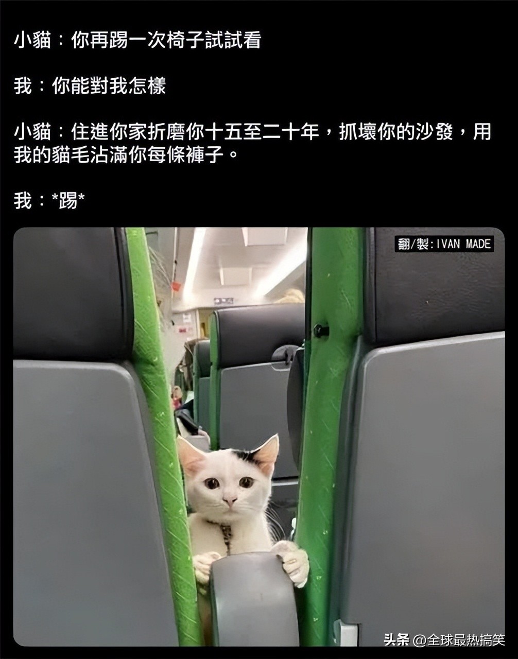 业主群都有哪些奇葩事,业主群各种吐槽