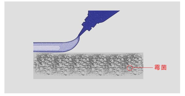 去了趟日本才知道好物,去了日本才知道的十件事