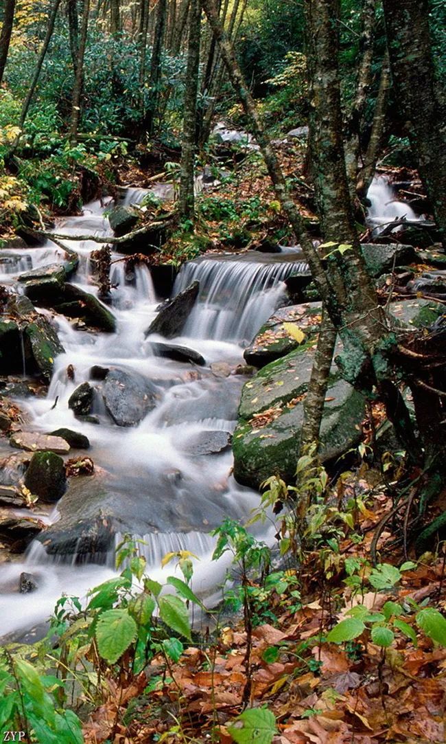太美了100张人间美照,太美了最美中国红