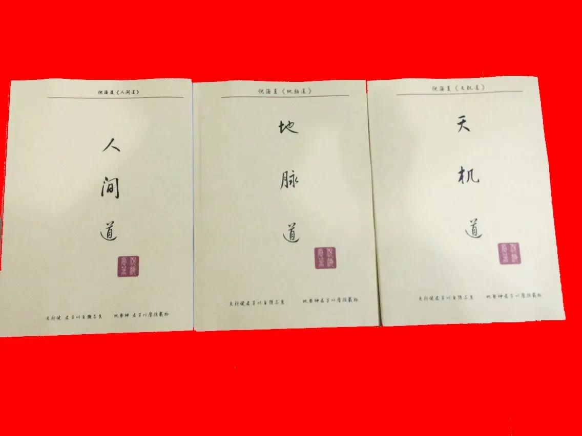 中医鬼才倪海厦全部视频,中医鬼才倪海厦的传奇人生