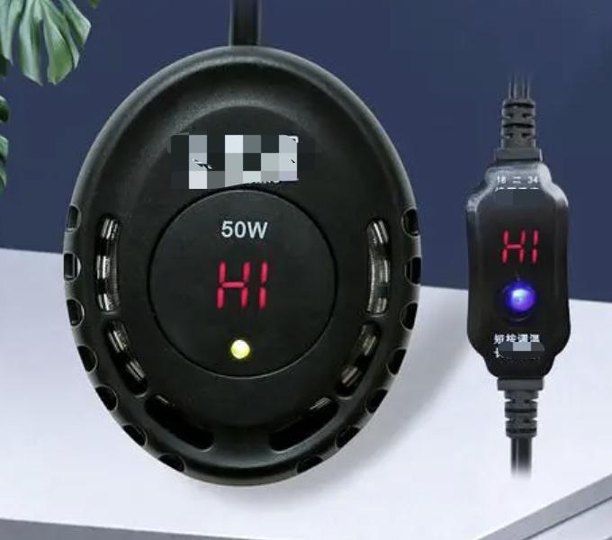 孔雀鱼的幼鱼饲养方法视频,孔雀鱼的幼鱼饲养方法