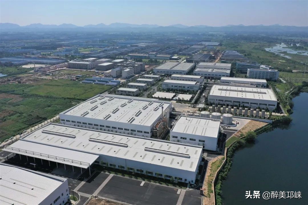 2021年，303.99亿！2022年，向未来！