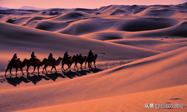 世界五大沙漠,内蒙古九大草原五大沙漠