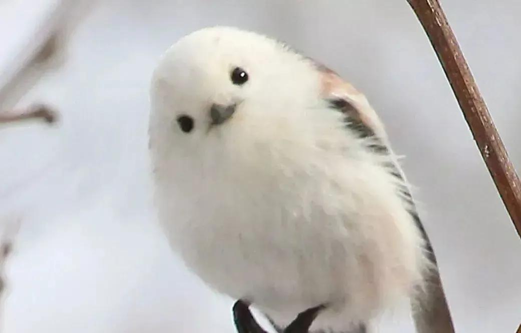 贵州女孩学医,贵阳女孩子学医