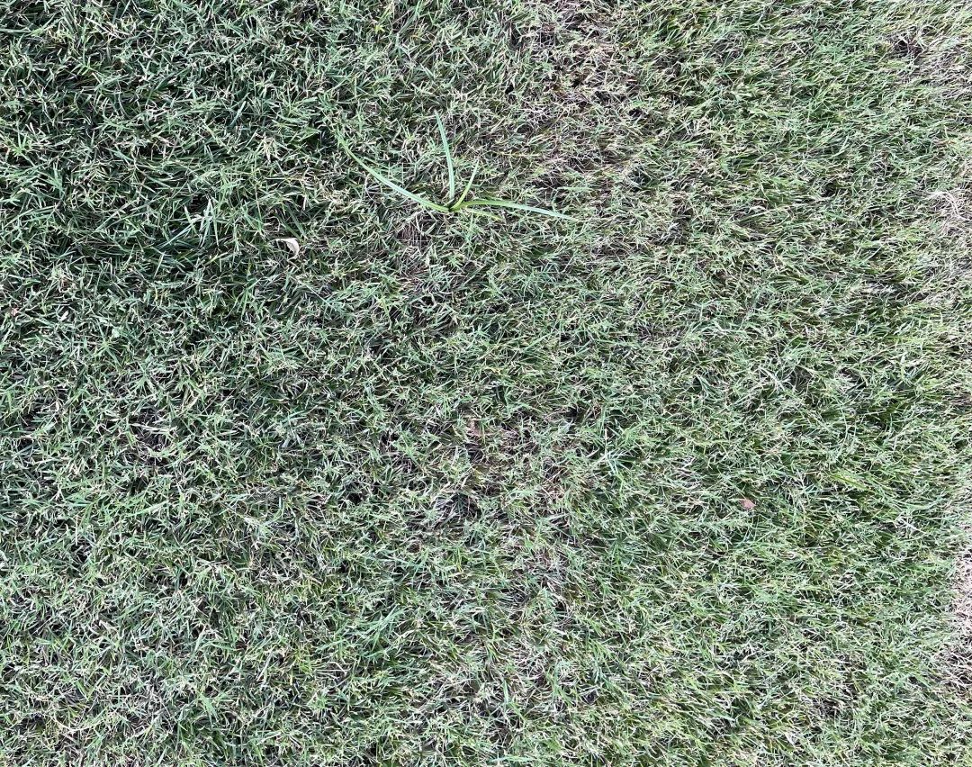 西派时代沣西新城交房,沣西中铁西派时代交房视频