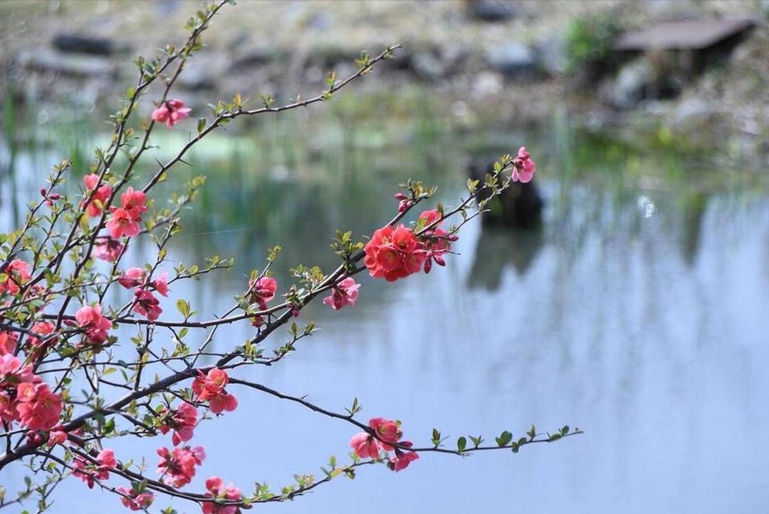 老话说“年景好不好，四月看八九”啥意思？八九指哪天？答案来了