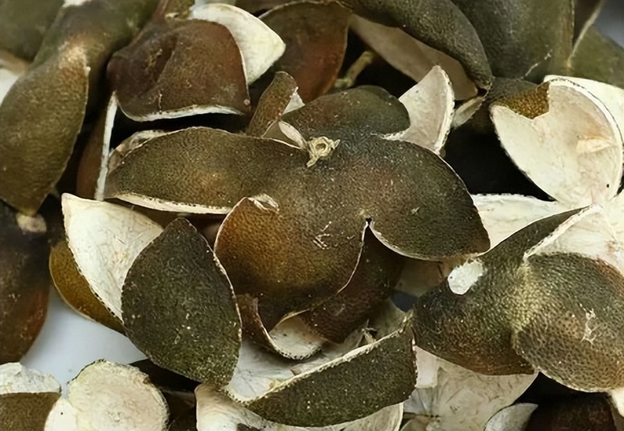 中药青皮,每日一味中药陈皮