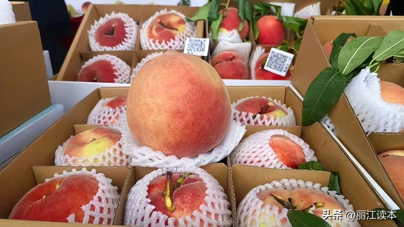 丽江大龄工找工作,丽江年轻人工作