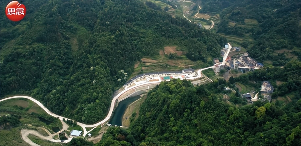 思念食品：粽叶产业链延伸升级，赋能乡村振兴