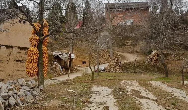 目前农村房屋最新改造政策,最新三农政策农村房屋改造