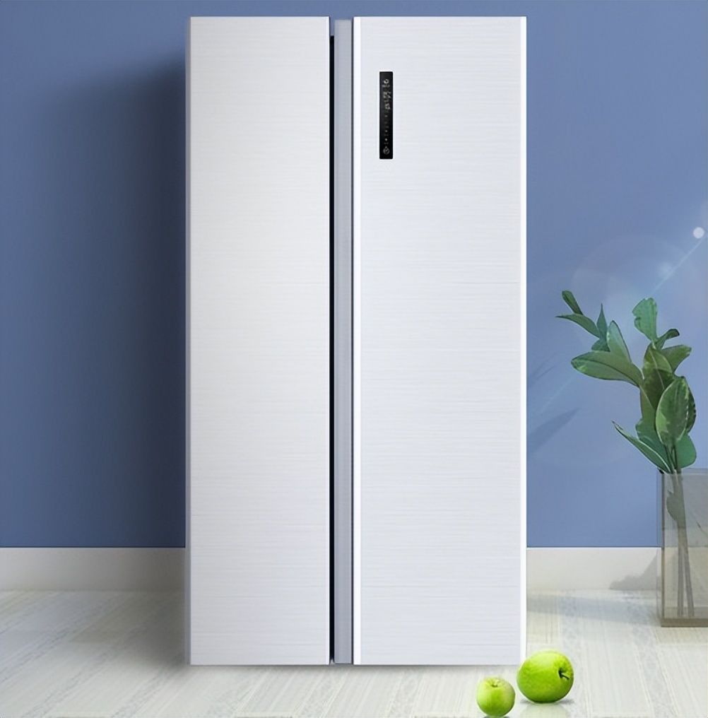 3000元预算买冰箱哪个好,预算2000买什么冰箱