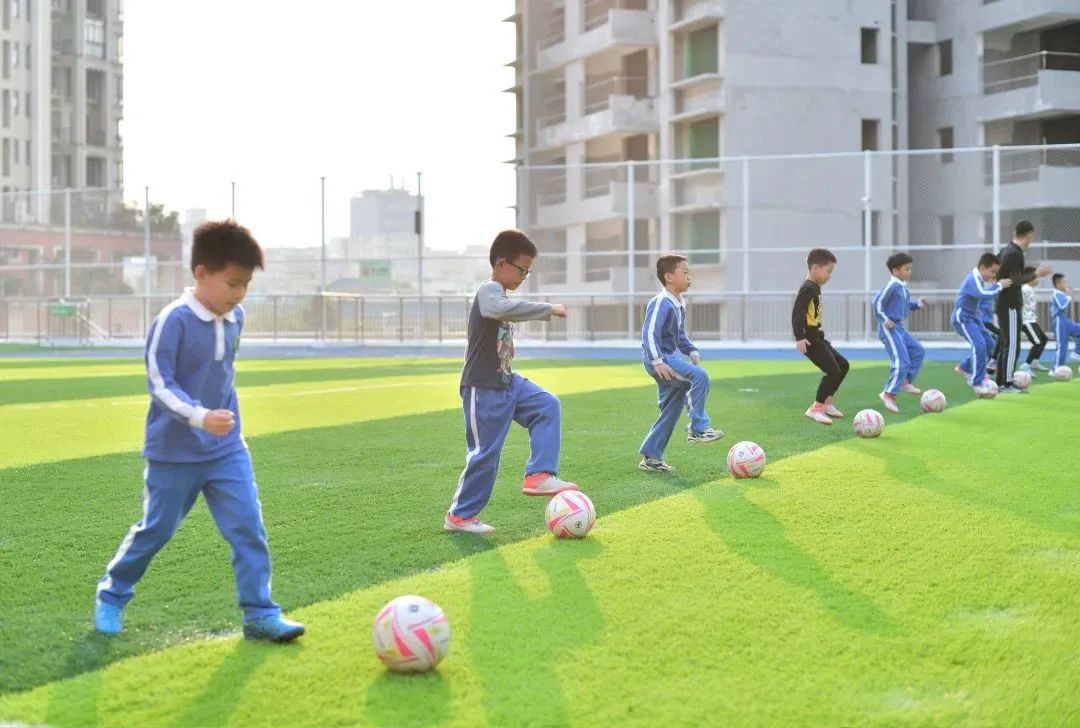 深圳龙岗中小学校排名前十,深圳龙岗优质小学排名