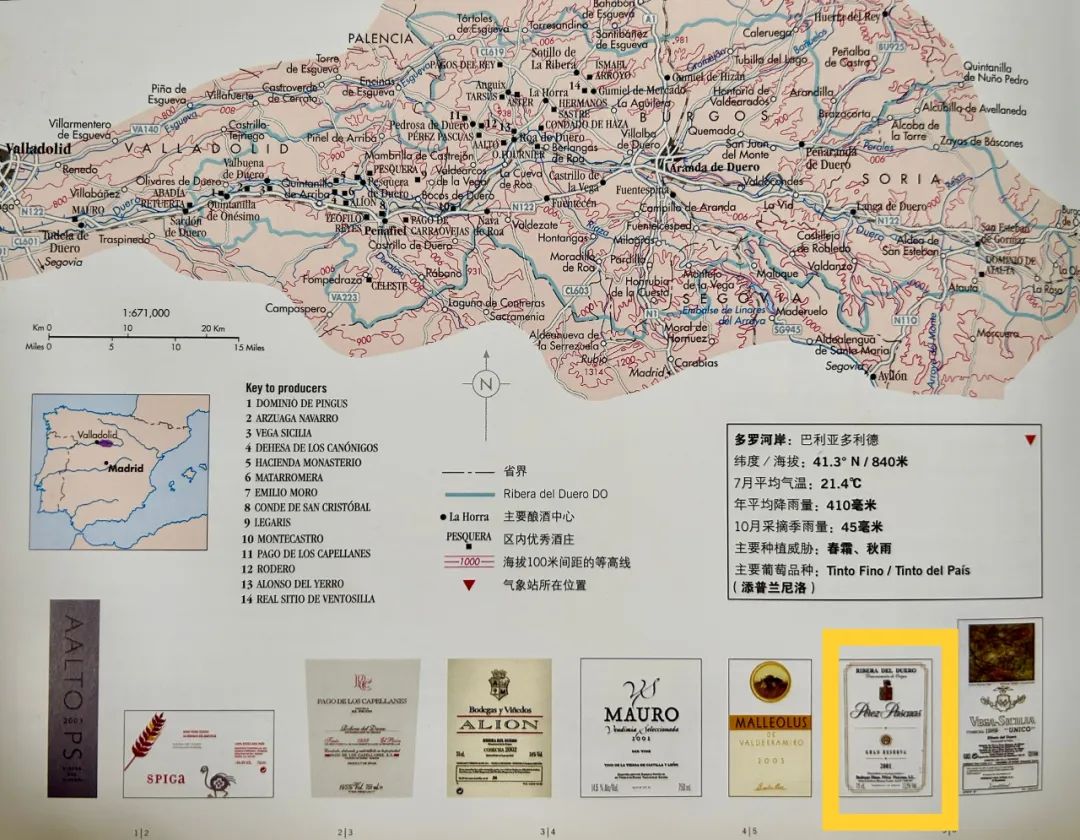 教皇喜欢谁,教皇喜欢的男孩