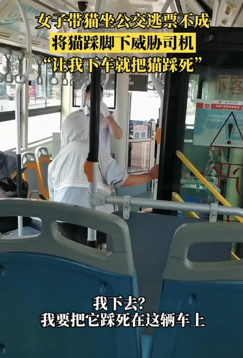 山西临汾公交车女子踩猫后续,心狠手辣的山西女生