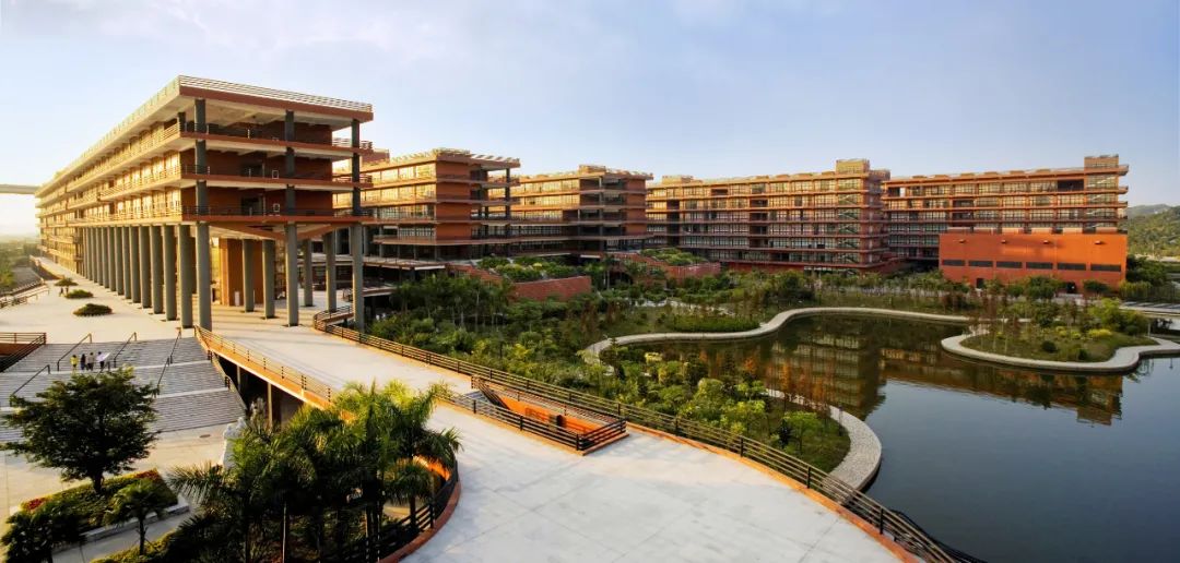 “广美，我恨你一辈子”