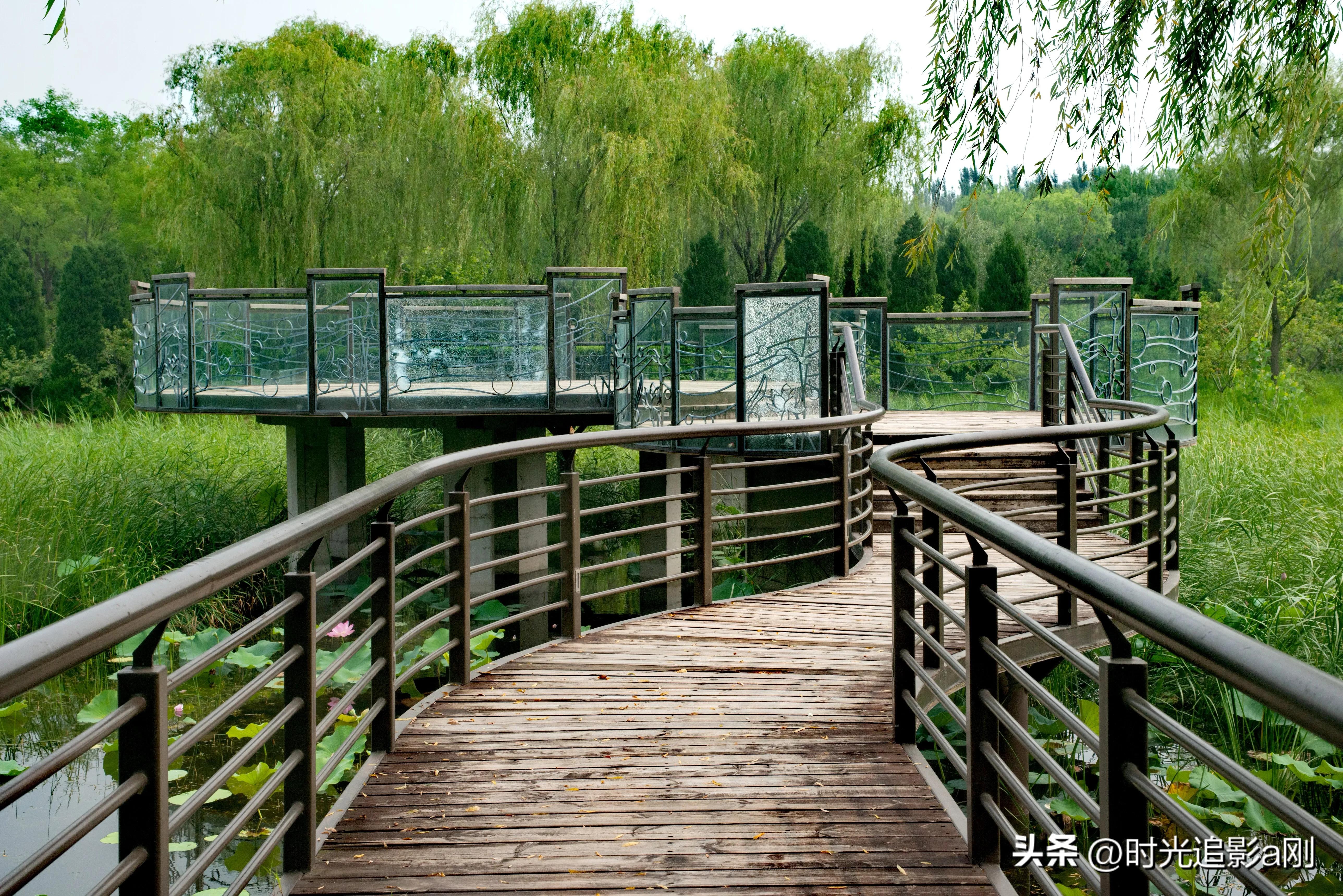 秋日时光音乐会花絮,秋日傍晚公园的美景
