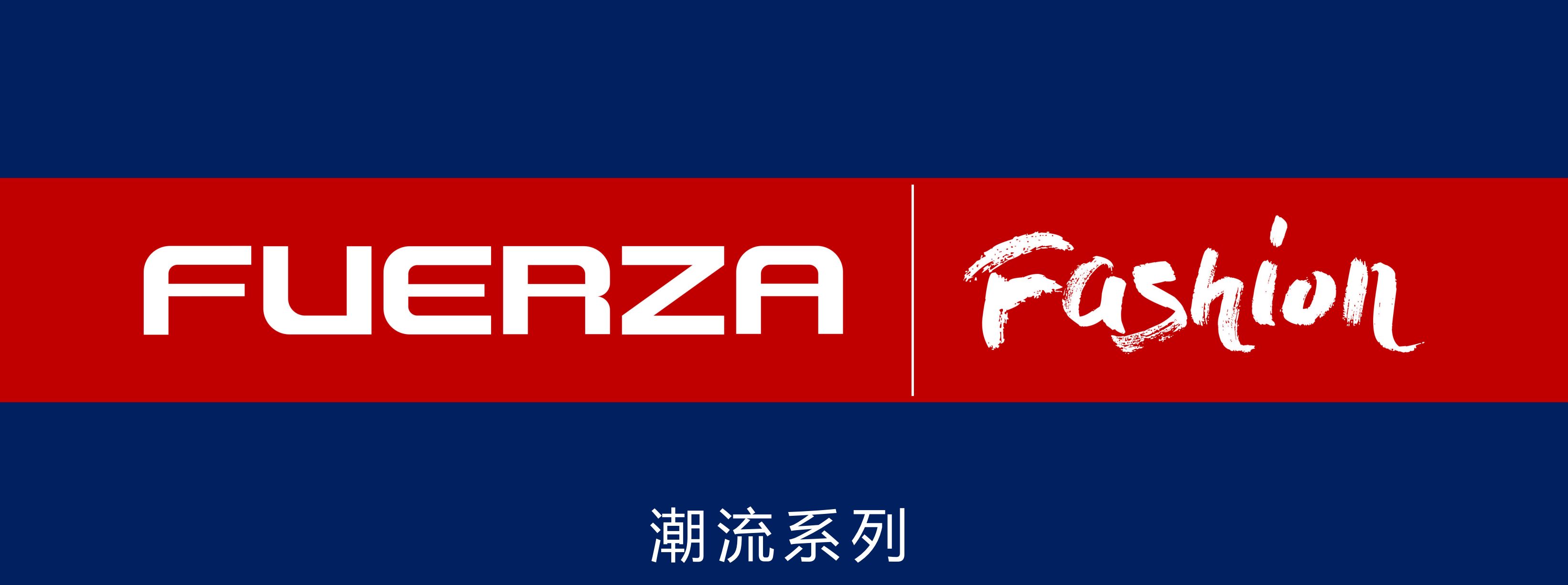飞力嘉在韩国的地位,韩国飞力嘉中国官网