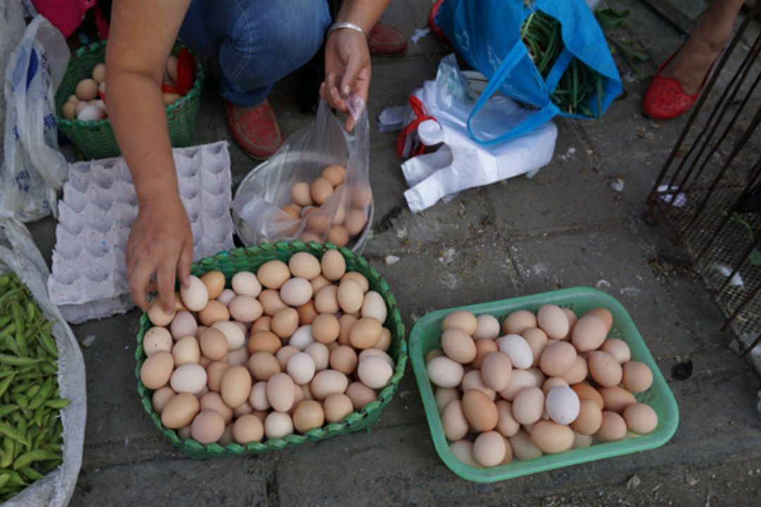 农村集市上的假货有哪些,农村大集上三样东西千万别买