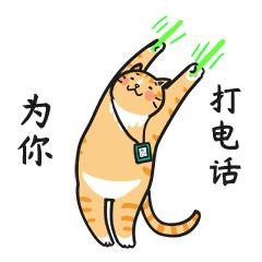 对猫的6个常见误解你中了几条,对猫品种的误解