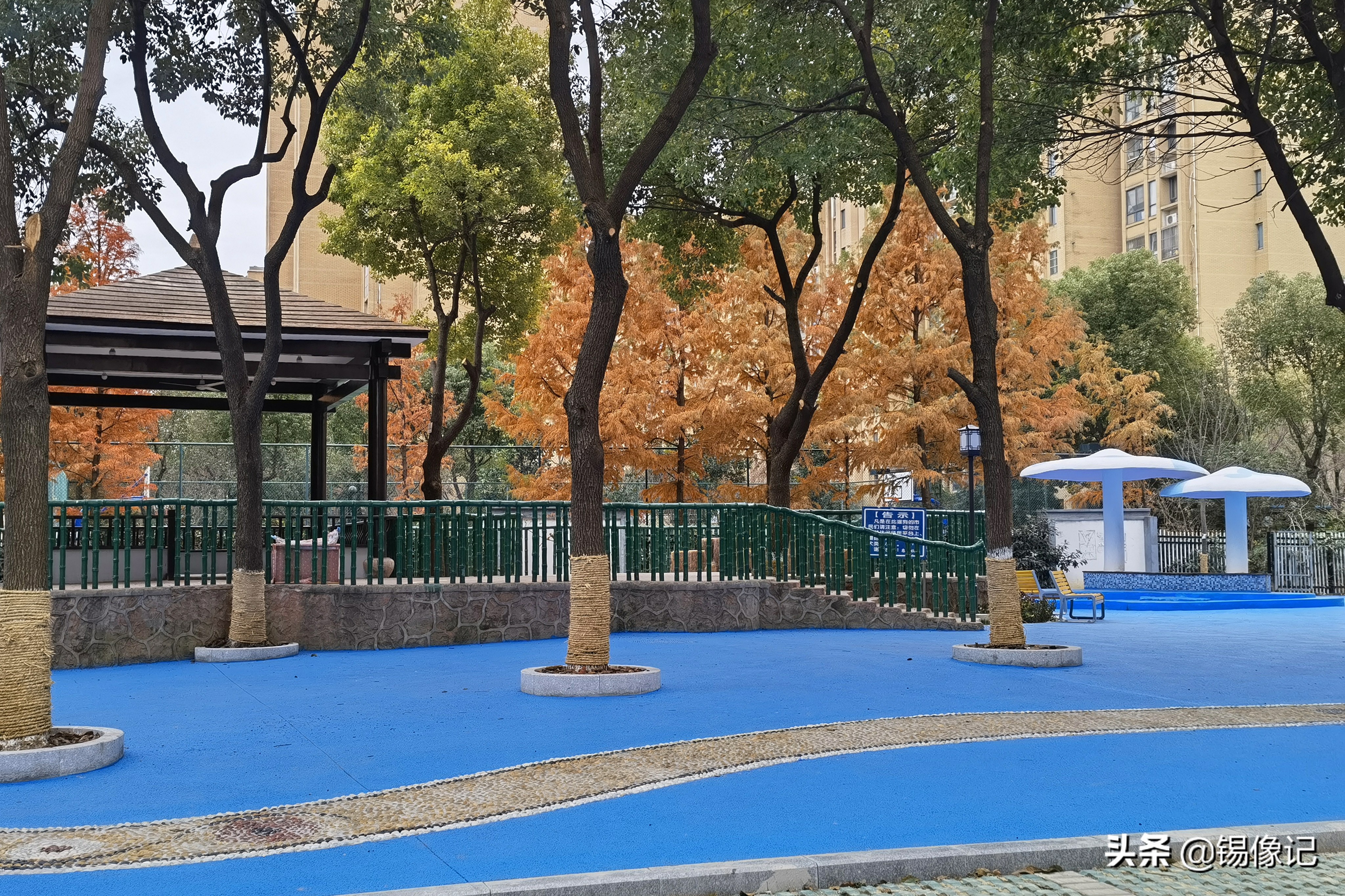 城事•有爱｜惠麓苑小区旧貌换新颜居民群众开心过新年