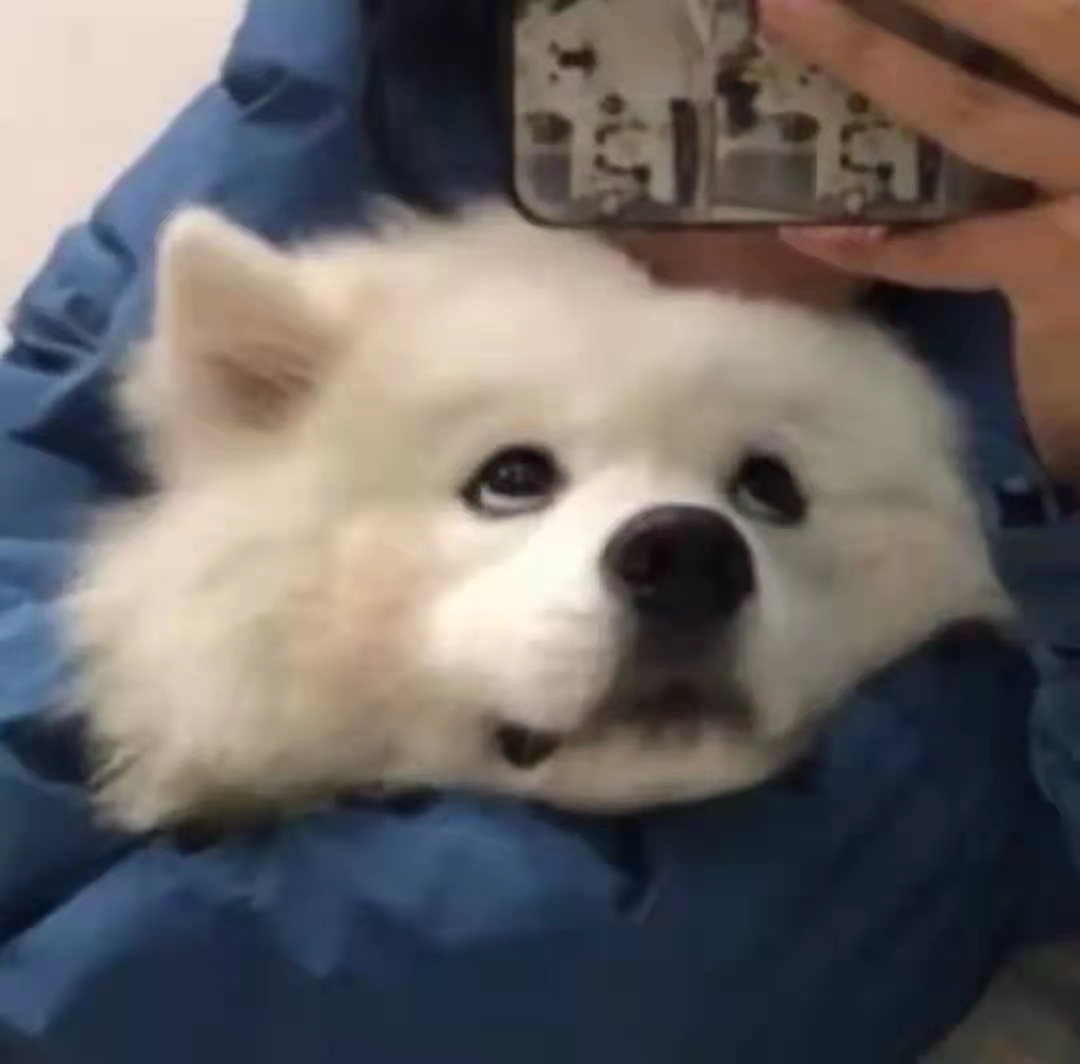 在外漂泊的人想家的文案,漂泊在外真的很辛苦想家的文案