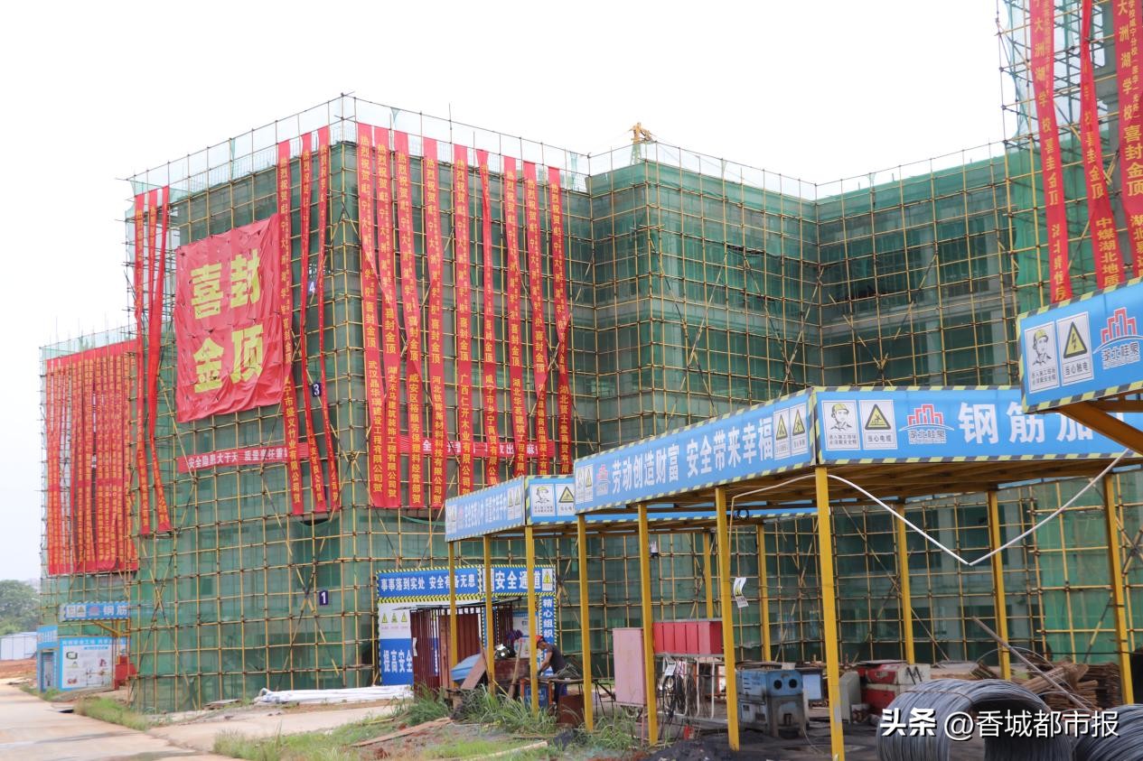 光谷未来捷报,武汉前程教育2024喜报