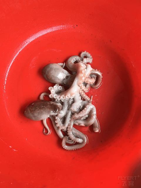 三亚陵水蓝湾绿城威斯汀度假酒店,海南陵水清水湾威斯汀酒店简介