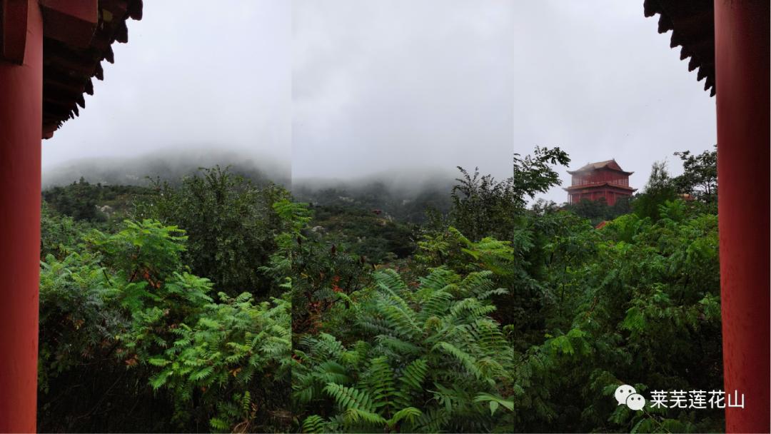 莱芜景区免票政策有哪些,莱芜莲花山景区优惠政策