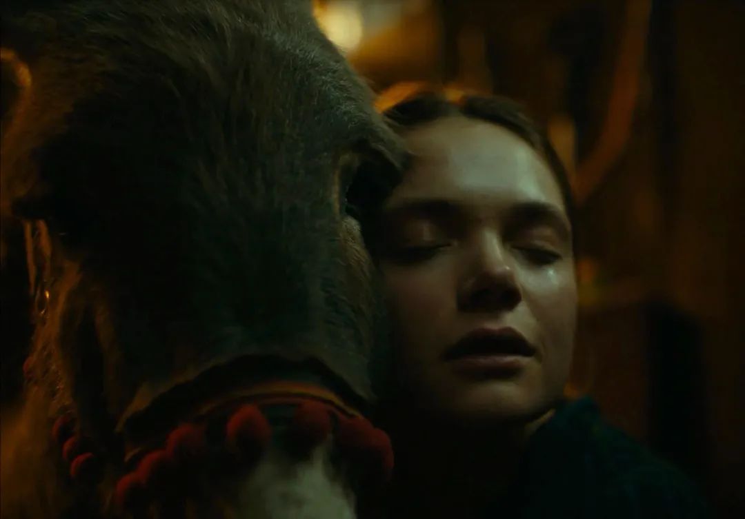 关于驴的电影大全,关于驴的电影解说