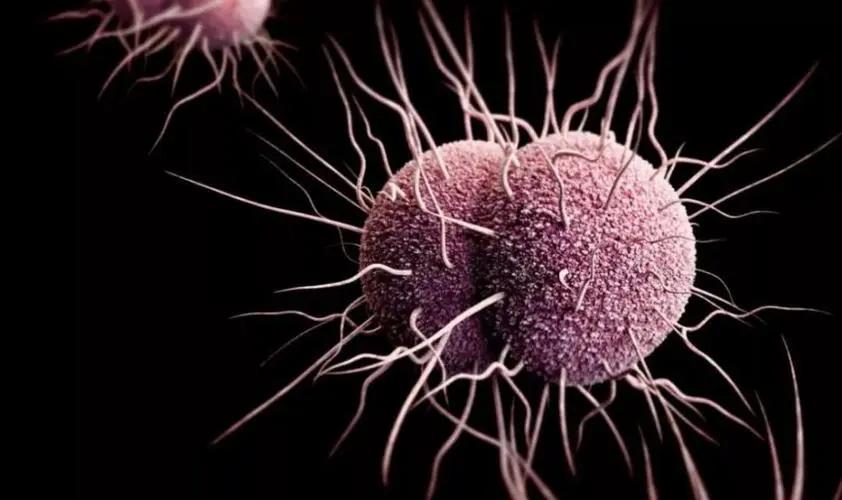 这5种疾病不能治愈,这5种病不得不防