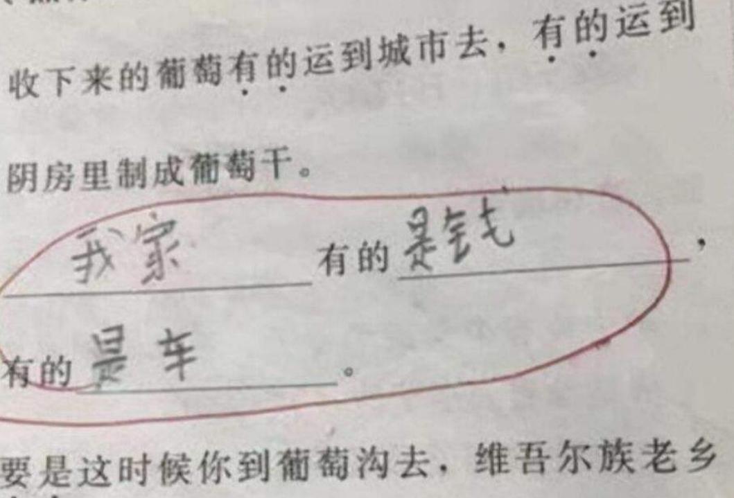 超懒小学生,最懒小学生作业走红