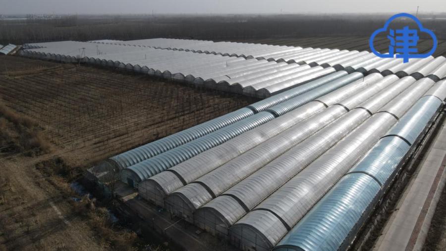 【“十项行动”调研行之七】总书记来过的丁家瞿阝村乡村振兴有了新成果