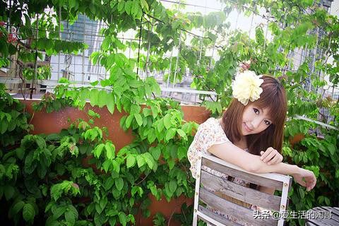 6款排毒养颜茶让你美丽过春季,春季适合喝哪种养颜美容茶