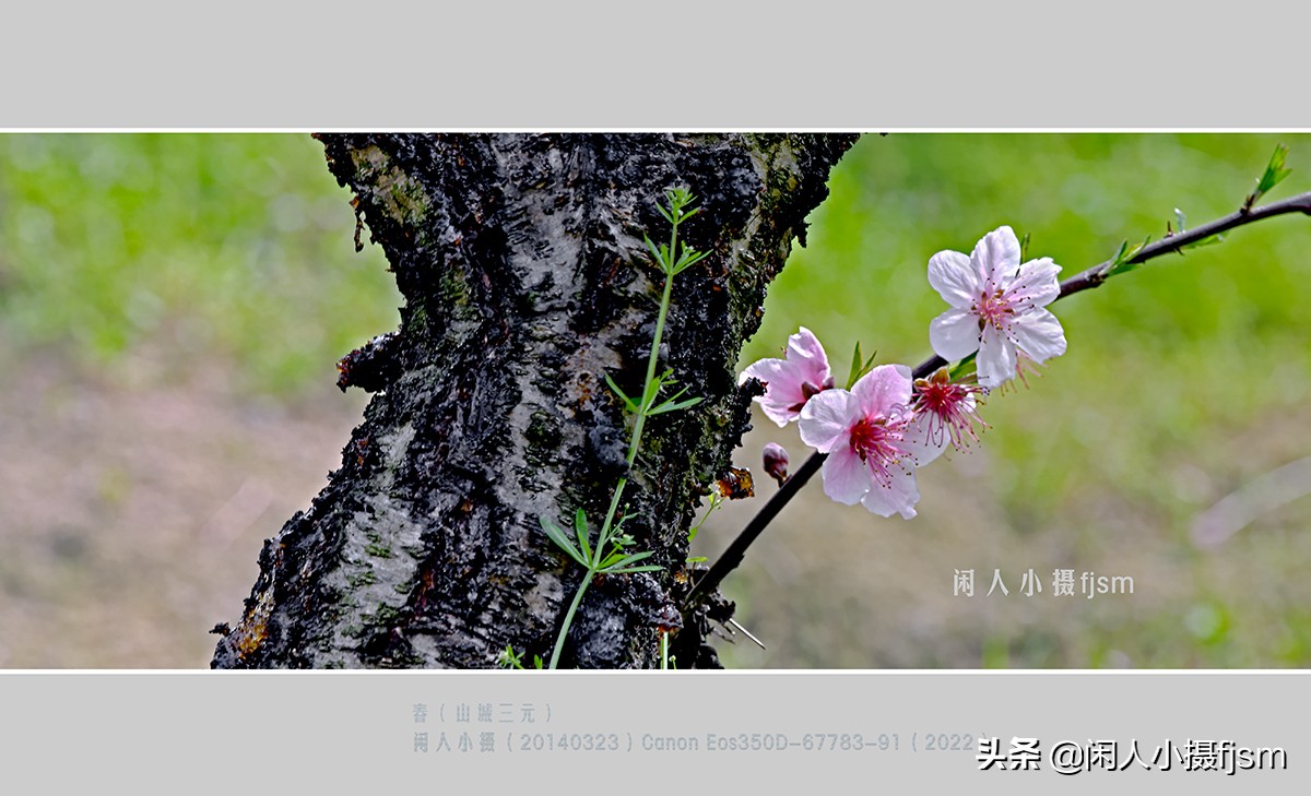 摄影入门教程hdr,如何对hdr摄影后期调整为一般模式