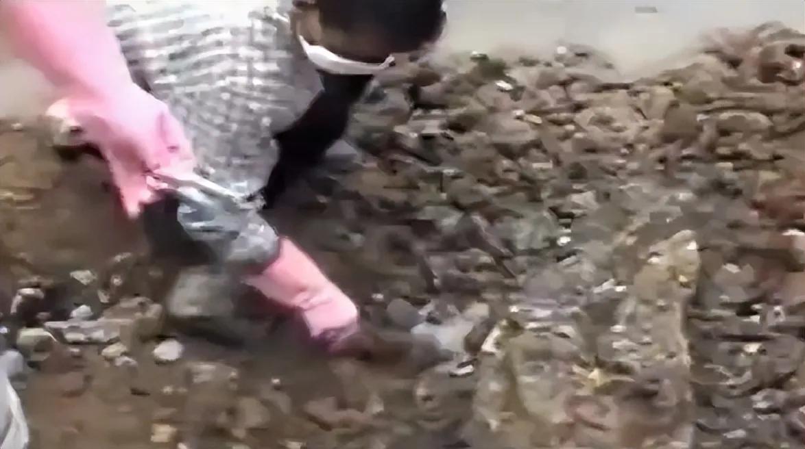 连环杀人案专杀少女,连环杀人犯专杀少女