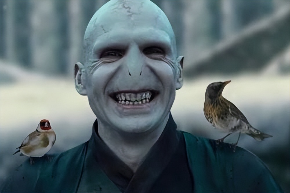 从《哈利·波特》到《萝铃的魔力》，儿童文学全新的创新方向