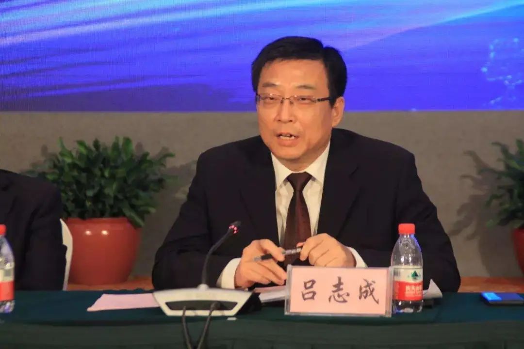 2022年现任市长公示,2020市长公示名单