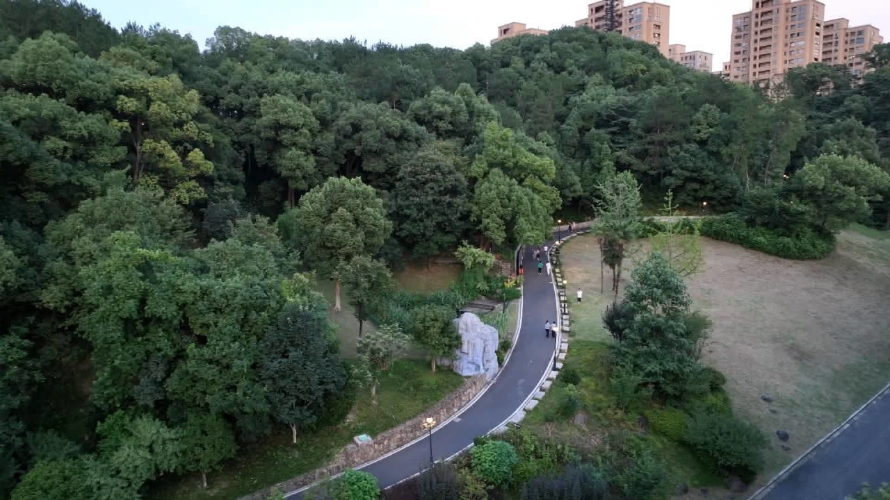 临安会锦文体公园,青山湖科技城会锦公园羽毛球