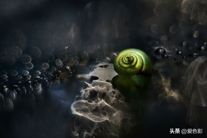 光影斑驳中，长笑蜗牛戴屋行