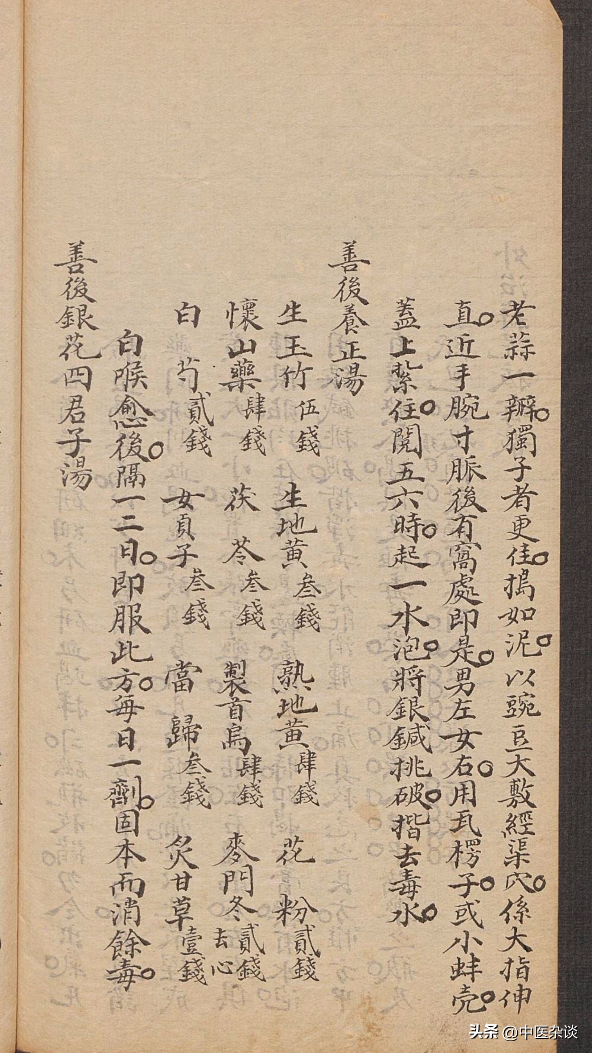 白喉中医经方,中医白喉的病机