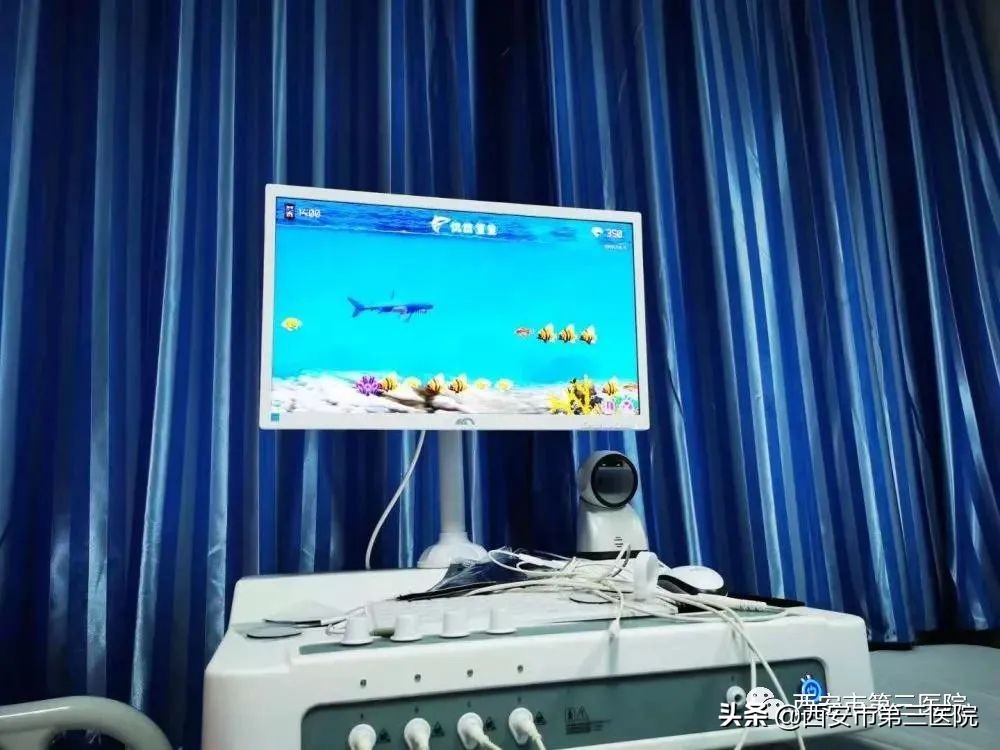 盆底疾病的康复方法,临床上有哪些办法可以修复盆底