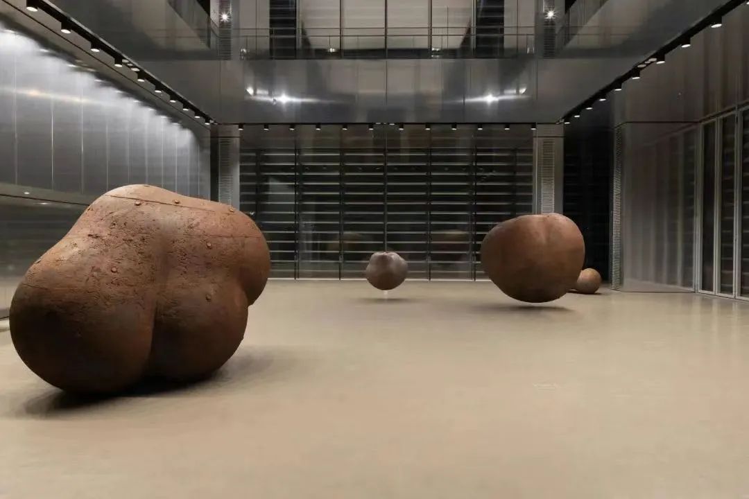 最极致的体型,世界最高身材