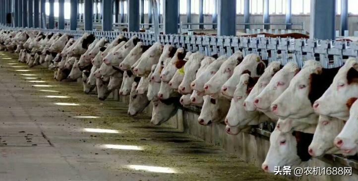 两代人创业,两代人一起创业