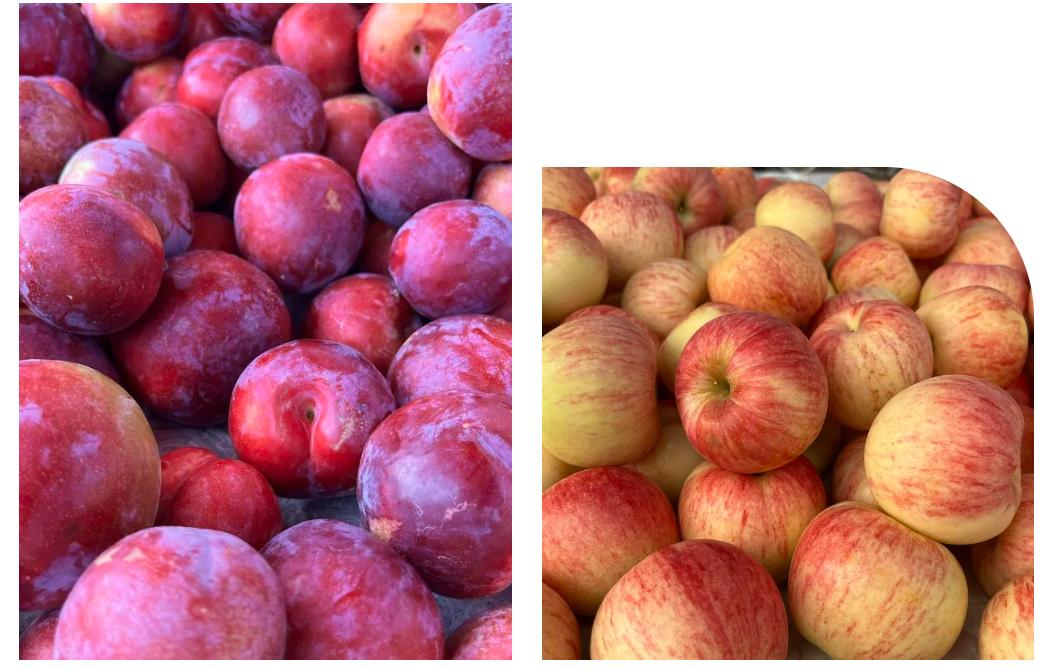 又到做西红柿酱的季节,什么季节做西红柿酱呢