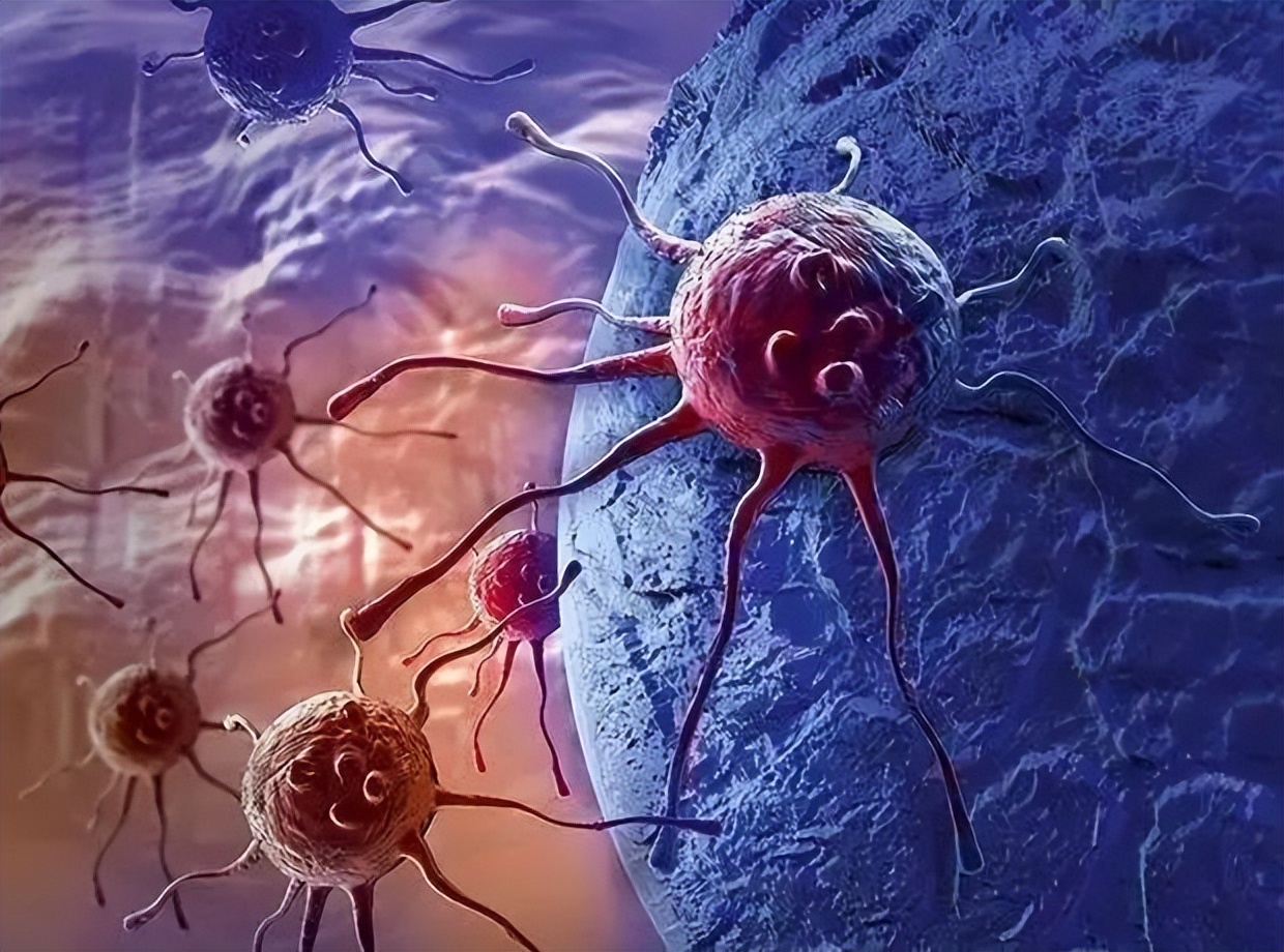 干细胞与免疫细胞究竟有何不同,干细胞与免疫细胞讲解